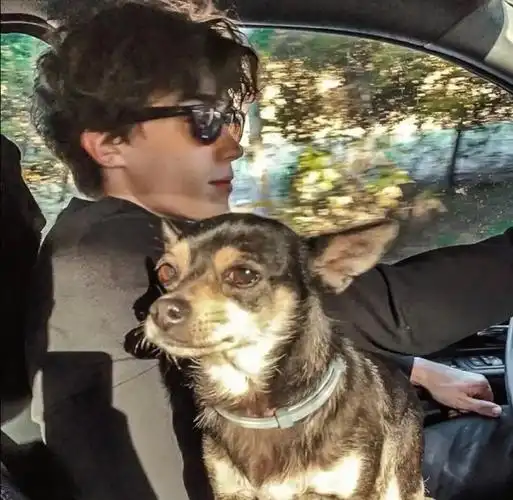 6686体育金牌作者Archie