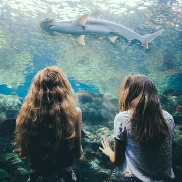 6686体育银牌作者Isla