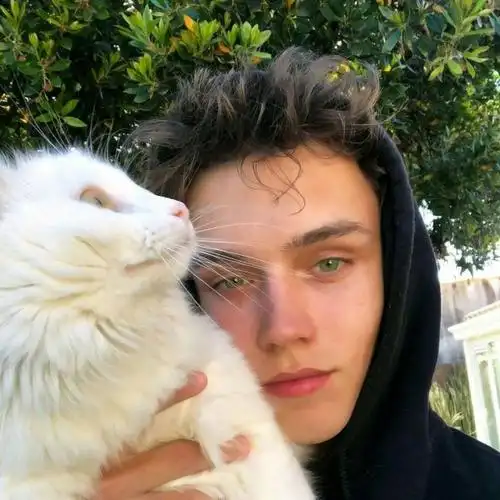 6686体育签约作者旧时风