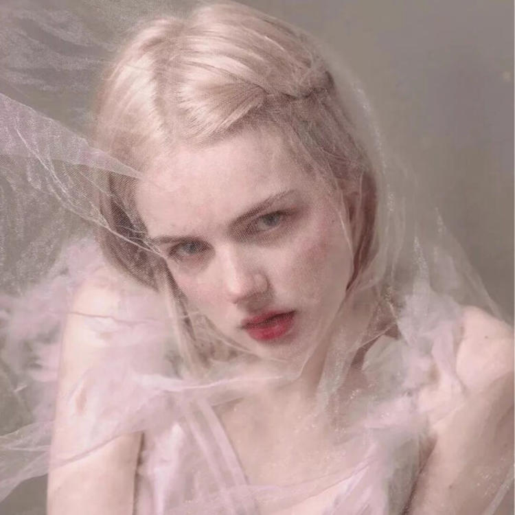 6686体育高级作者Cordelia